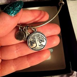 Alex and Ani Tree of Life bracelet